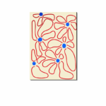 フラワー アートポスター レッドラインフラワー